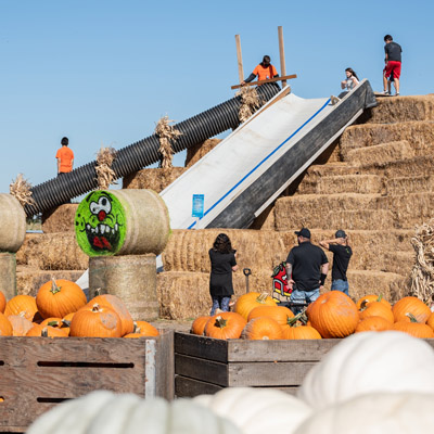 Giant Hay Pyramid & Slides at Bauman's Harvest Festival - Fun!