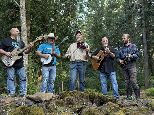 Syco Billy's String Band