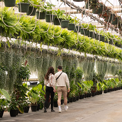 Bauman's Botanicals - Greenhouse in Oregon