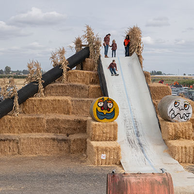 Giant Hay Pyramid & Slides in Oregon - Bauman's Harvest Festival