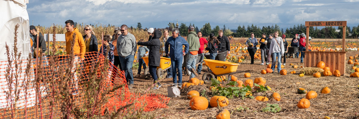 Harvest Festival Weekdays at Bauman Farms