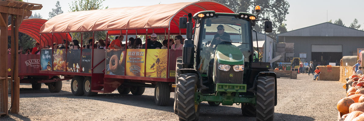 Harvest Festival Weekends at Bauman Farms - hayride