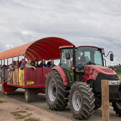 Hay Ride at Bauman's Farm & Harvest Festival in Gervais, Oregon
