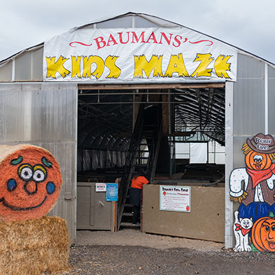 Kids Maze at Bauman's Harvest Festival in Oregon